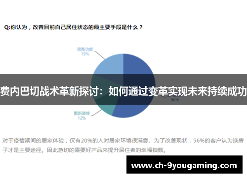 费内巴切战术革新探讨：如何通过变革实现未来持续成功
