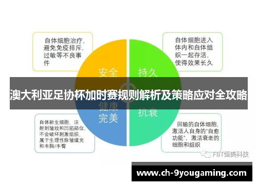 澳大利亚足协杯加时赛规则解析及策略应对全攻略