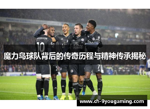 魔力鸟球队背后的传奇历程与精神传承揭秘 魔力鸟球队背后的传奇历程与精神传承揭秘